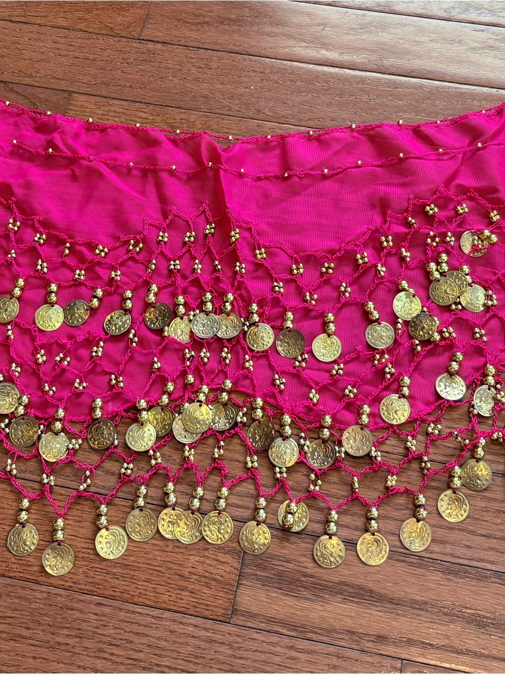 Gold Coin Fringe Belly Dance Hip Scarf - Hot Pink